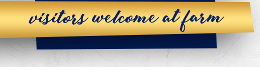 Visitors Welcome at the Farm