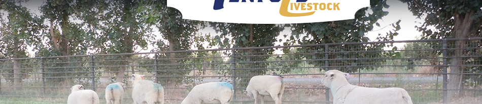 Penfold Livestock